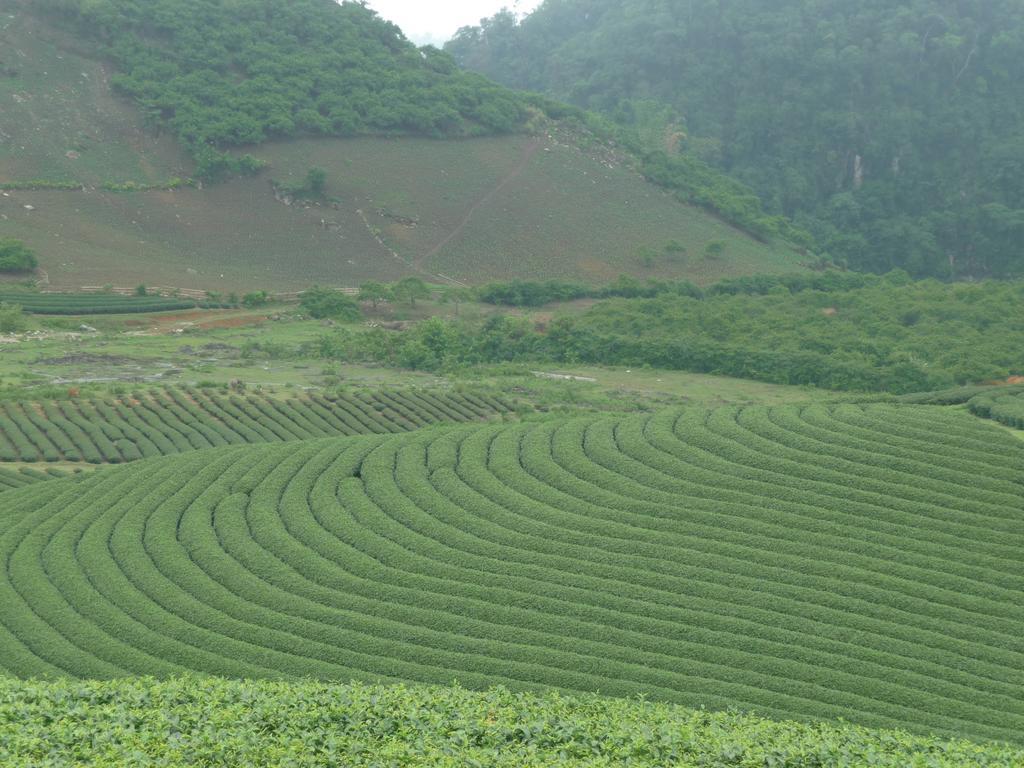 Mai Chau Valley View Hotel Hòa Bình Eksteriør billede